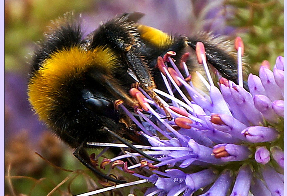 Bradford on Avon u3a Groups Bradford on Avon & District u3a